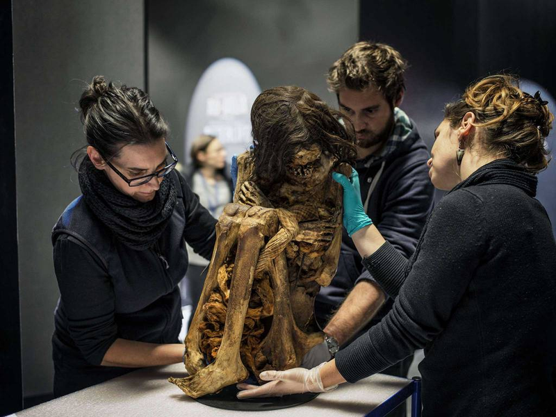 Illustration for article titled This Incredible Peruvian Mummy Is About To Go On Public Display